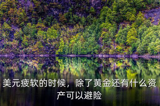 美元疲軟的時候，除了黃金還有什么資產(chǎn)可以避險