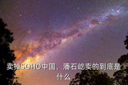 賣掉SOHO中國，潘石屹賣的到底是什么