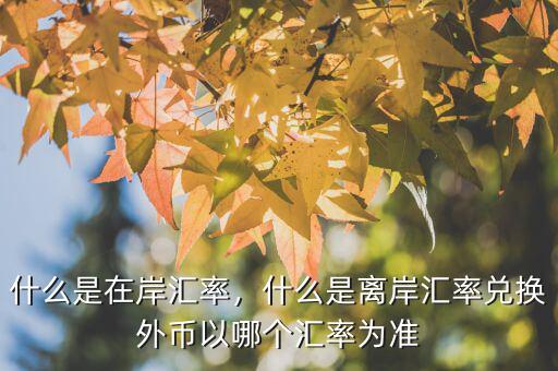 什么是在岸匯率，什么是離岸匯率兌換外幣以哪個匯率為準(zhǔn)