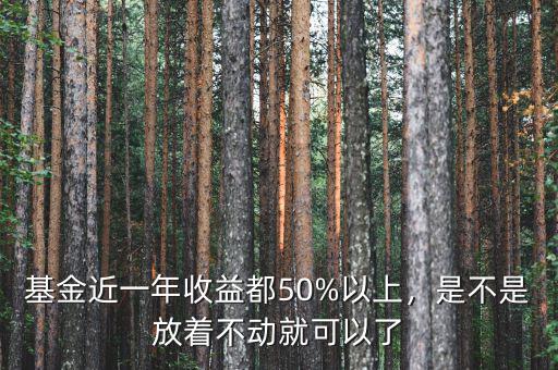 基金近一年收益都50%以上，是不是放著不動就可以了