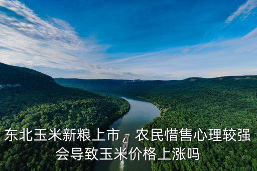 東北玉米新糧上市，農(nóng)民惜售心理較強(qiáng)會導(dǎo)致玉米價格上漲嗎