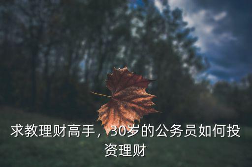 求教理財(cái)高手，30歲的公務(wù)員如何投資理財(cái)