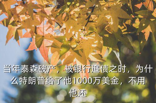 當(dāng)年泰森破產(chǎn)，被銀行追債之時(shí)，為什么特朗普給了他1000萬美金，不用他還