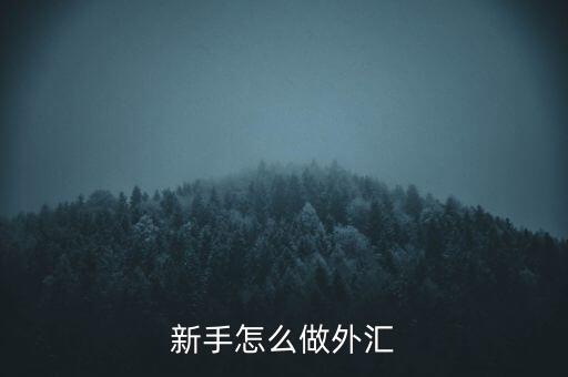 新手怎么做外匯