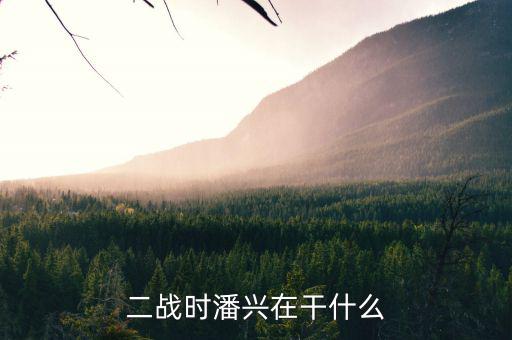 二戰(zhàn)時潘興在干什么