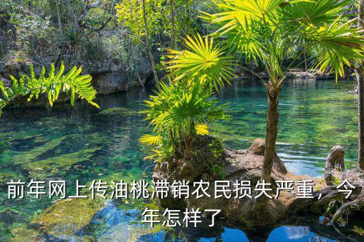 前年網(wǎng)上傳油桃滯銷農(nóng)民損失嚴(yán)重，今年怎樣了