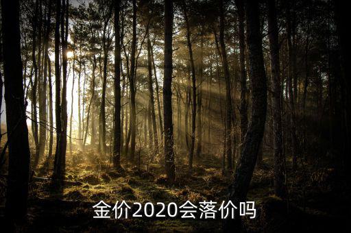 金價2020會落價嗎