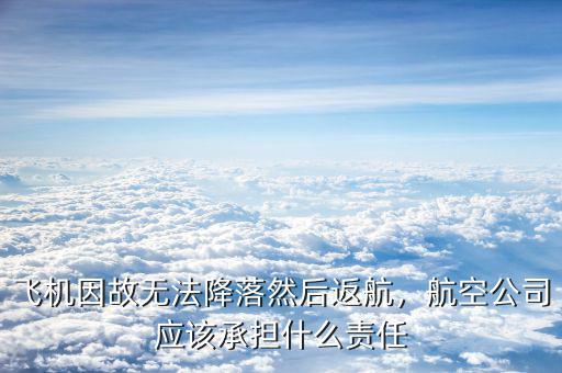 飛機因故無法降落然后返航，航空公司應(yīng)該承擔(dān)什么責(zé)任