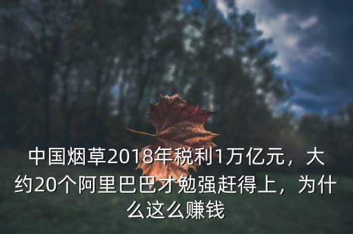 中國(guó)煙草2018年稅利1萬(wàn)億元，大約20個(gè)阿里巴巴才勉強(qiáng)趕得上，為什么這么賺錢