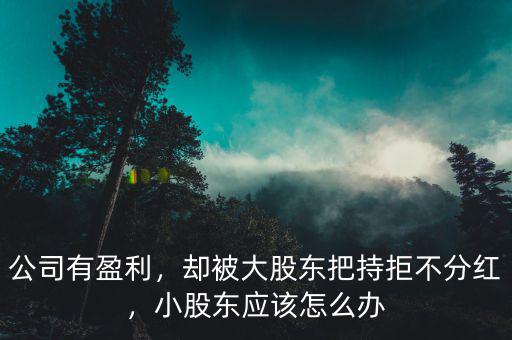 公司有盈利，卻被大股東把持拒不分紅，小股東應(yīng)該怎么辦