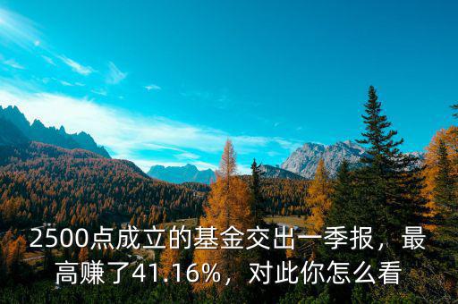 2500點(diǎn)成立的基金交出一季報(bào)，最高賺了41.16%，對(duì)此你怎么看