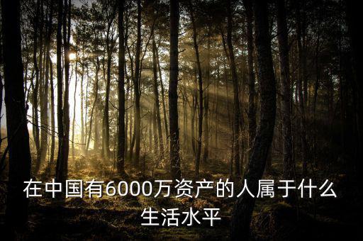 在中國(guó)有6000萬資產(chǎn)的人屬于什么生活水平