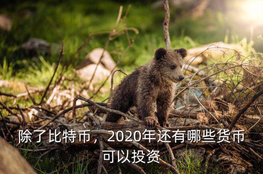 除了比特幣，2020年還有哪些貨幣可以投資