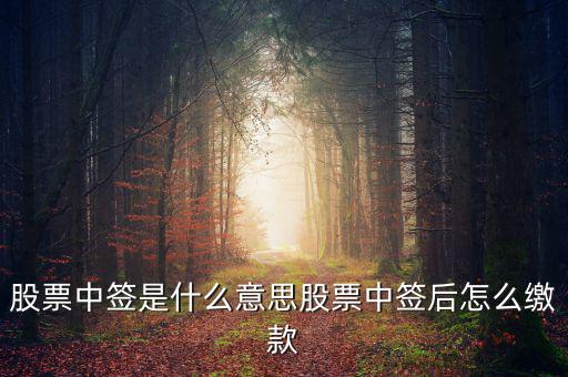 股票中簽是什么意思股票中簽后怎么繳款