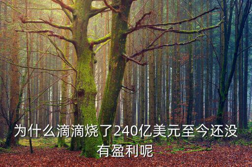 為什么滴滴燒了240億美元至今還沒有盈利呢