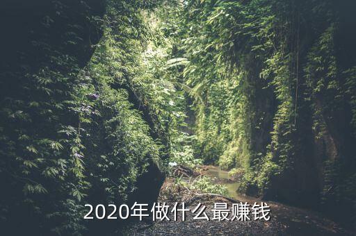 2020年做什么最賺錢