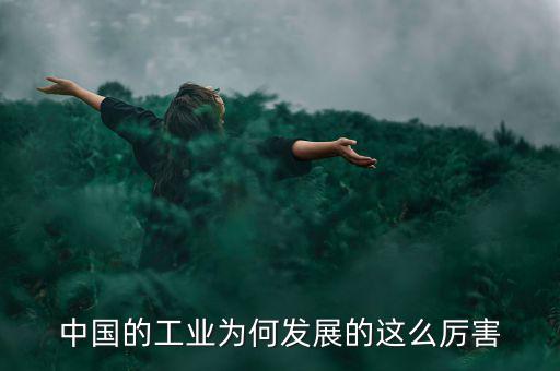 中國的工業(yè)為何發(fā)展的這么厲害