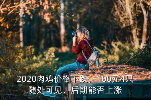 2020肉雞價(jià)格下跌，100元4只隨處可見，后期能否上漲