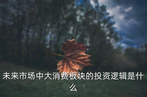 未來(lái)市場(chǎng)中大消費(fèi)板塊的投資邏輯是什么