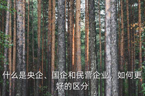 什么是央企、國企和民營企業(yè)，如何更好的區(qū)分