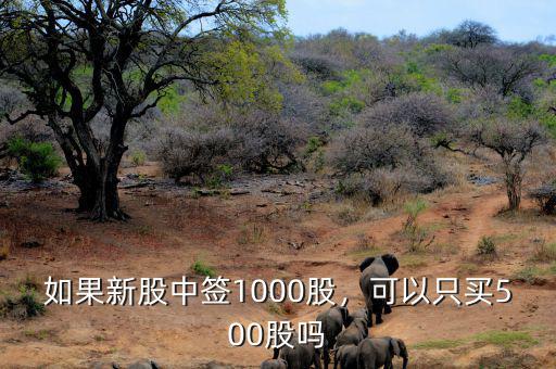 如果新股中簽1000股，可以只買500股嗎