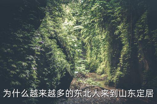 為什么越來越多的東北人來到山東定居