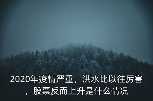 2020年疫情嚴重，洪水比以往厲害，股票反而上升是什么情況