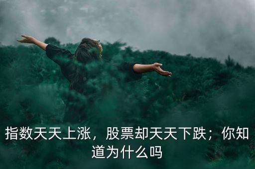 指數(shù)天天上漲，股票卻天天下跌；你知道為什么嗎