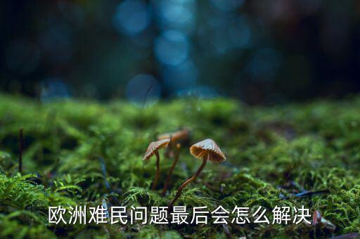 歐洲難民問題最后會(huì)怎么解決