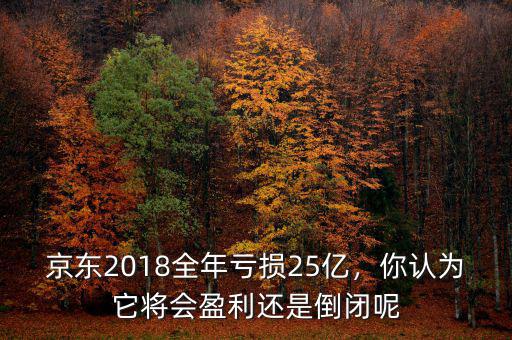 京東2018全年虧損25億，你認(rèn)為它將會盈利還是倒閉呢