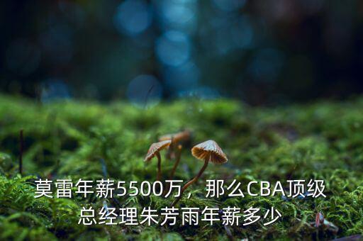 莫雷年薪5500萬(wàn)，那么CBA頂級(jí)總經(jīng)理朱芳雨年薪多少