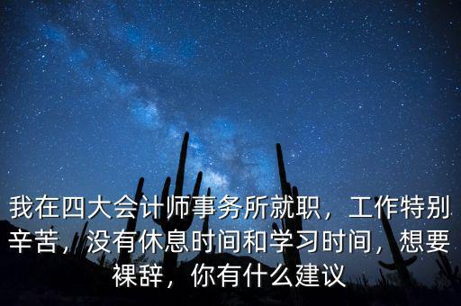 四大的審計(jì)做什么,聽(tīng)說(shuō)四大主要做審計(jì)和咨詢