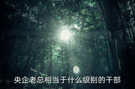 央企老總相當(dāng)于什么級別的干部