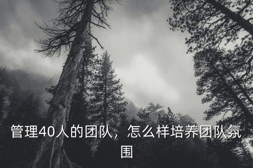 管理40人的團(tuán)隊(duì)，怎么樣培養(yǎng)團(tuán)隊(duì)氛圍