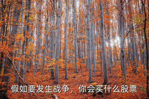 買(mǎi)路橋股票買(mǎi)什么好,新手買(mǎi)什么股票和基金好