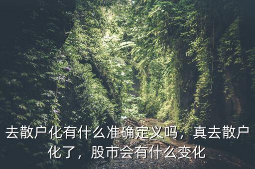 去散戶化有什么準(zhǔn)確定義嗎，真去散戶化了，股市會(huì)有什么變化