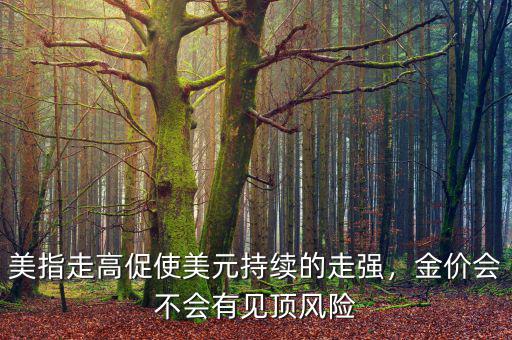 美指走高促使美元持續(xù)的走強，金價會不會有見頂風(fēng)險