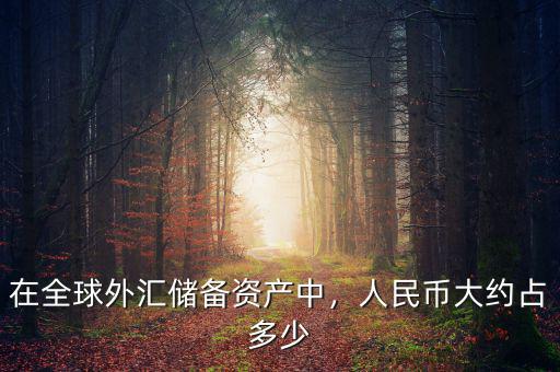 中國需要多少外匯儲(chǔ)備,人民幣大約占多少