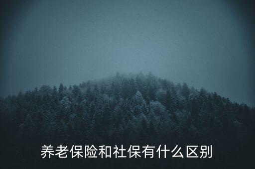 養(yǎng)老保險(xiǎn)和社保有什么區(qū)別