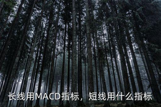 做短線用什么指標(biāo),長(zhǎng)線用MACD指標(biāo)