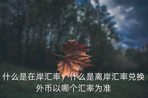 什么是在岸匯率，什么是離岸匯率兌換外幣以哪個匯率為準