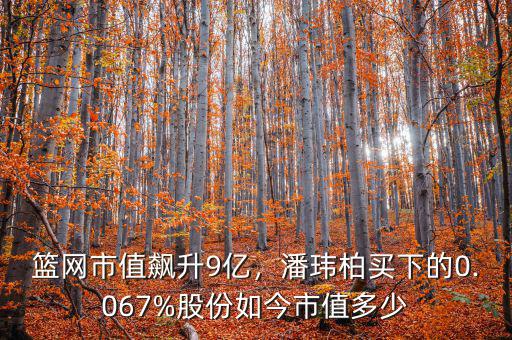 籃網市值飆升9億，潘瑋柏買下的0.067%股份如今市值多少