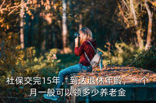 社保交完15年，到達(dá)退休年齡，一個(gè)月一般可以領(lǐng)多少養(yǎng)老金