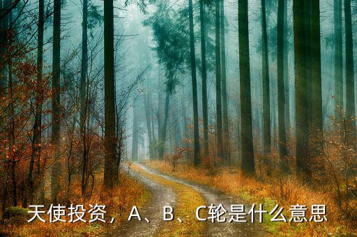 天使投資，A、B、C輪是什么意思