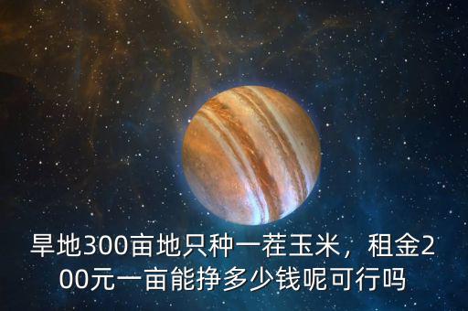 旱地300畝地只種一茬玉米，租金200元一畝能掙多少錢呢可行嗎