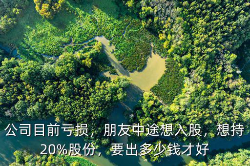 公司目前虧損，朋友中途想入股，想持20%股份，要出多少錢(qián)才好