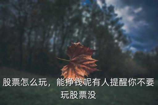 股票怎么玩，能掙錢呢有人提醒你不要玩股票沒