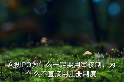 A股IPO為什么一定要用審核制，為什么不直接用注冊制度