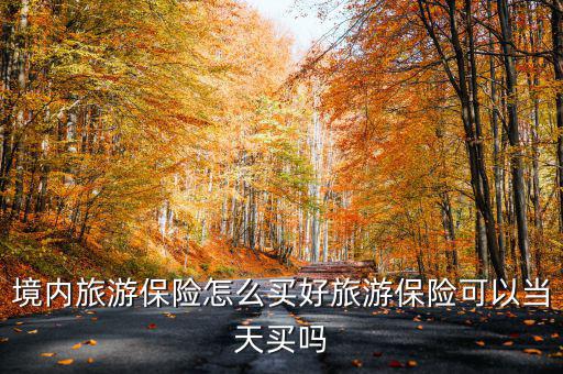 境內(nèi)旅游保險(xiǎn)怎么買(mǎi)好旅游保險(xiǎn)可以當(dāng)天買(mǎi)嗎