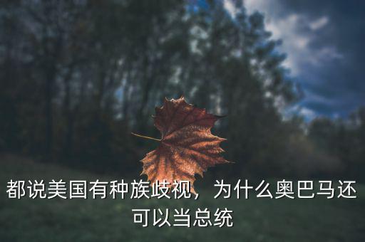 都說美國有種族歧視，為什么奧巴馬還可以當(dāng)總統(tǒng)